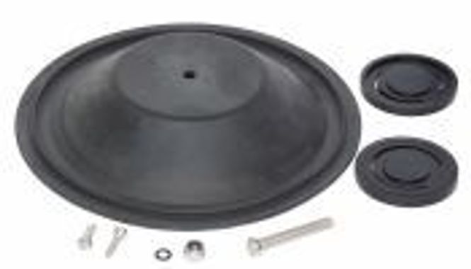 Hovedbilde Jabsco service kit 29246-1000